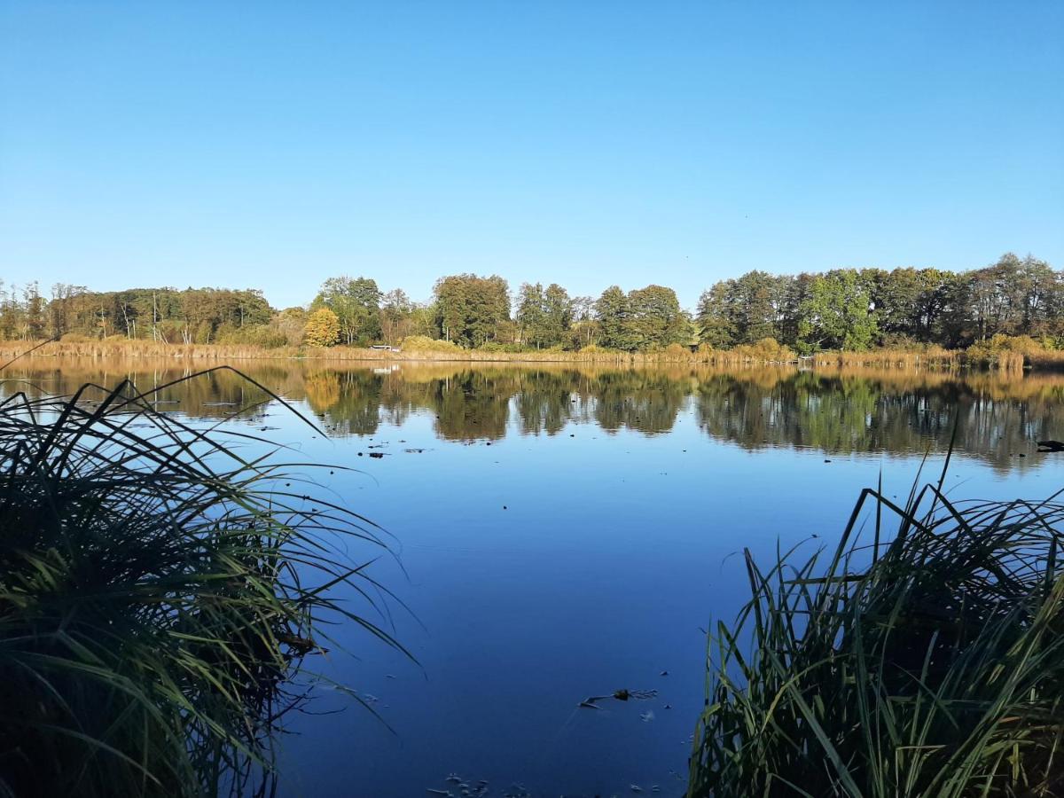 Mv Idyll Villa Dahmen  Exteriör bild
